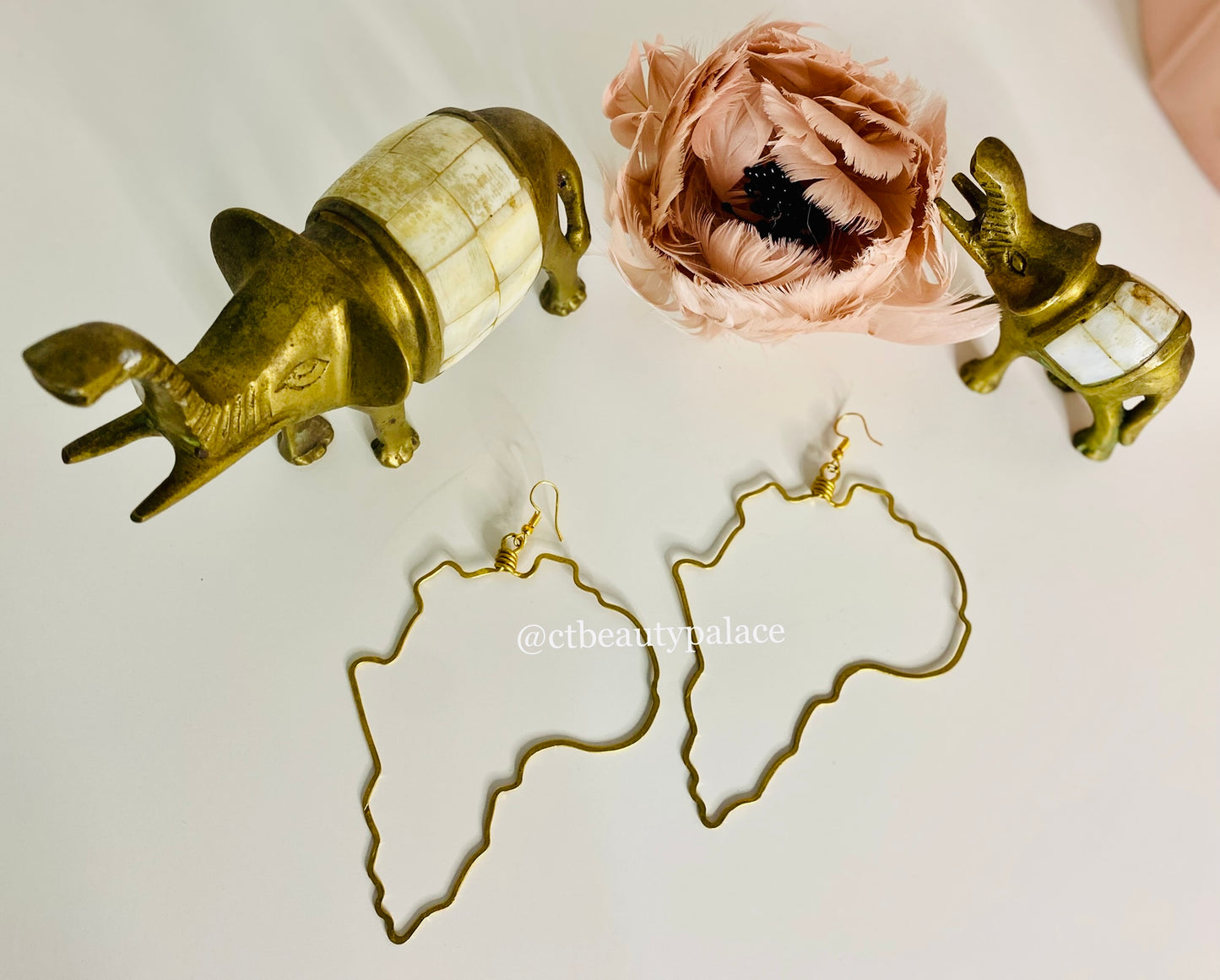 Brass African Continent Earrings